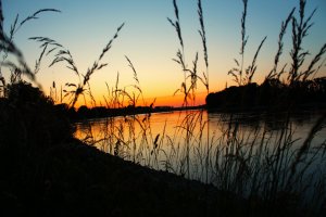 IMG_1095.JPG