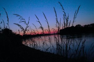 IMG_1101.JPG