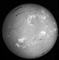 SonneH-Alpha08_06_2023.jpg