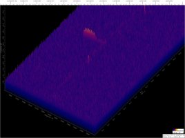 GRAVES-XYmVV_230608101929_1_org.jpg
