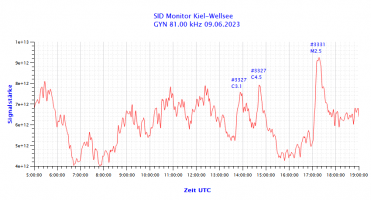 GYN81000-09.06.2023.png