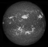 20230610-ca.jpg