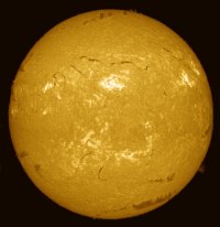 20230610-ha-color.jpg
