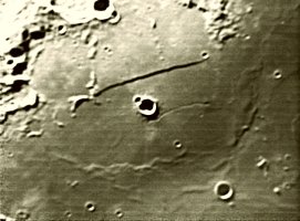 IMG-20230615-WA0014.jpg