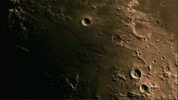 Rimea hygnus  adrianus en Triesnecker.jpg