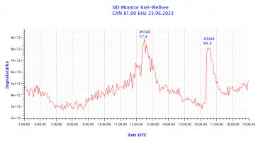 GYN81000-26.06.2023.png