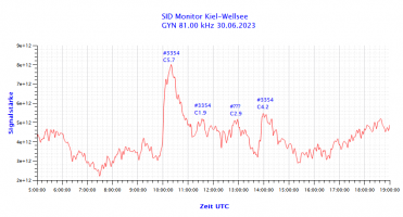 GYN81000-30.06.2023.png