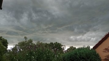 IMG_20230705_134200952_MFNR.jpg