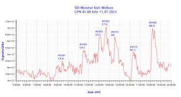 GYN81000-11.07.2023.png