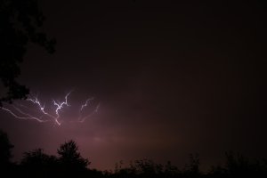 IMG_2243.JPG