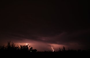 IMG_2252.JPG
