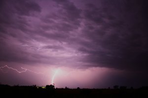IMG_2294.JPG