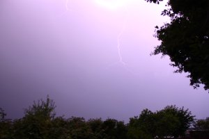 IMG_2339.JPG