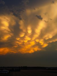 DJI_0196.JPG