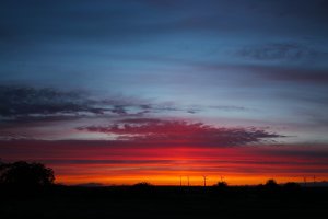 IMG_2344.JPG