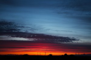 IMG_2350.JPG