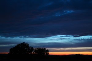 IMG_2355.JPG