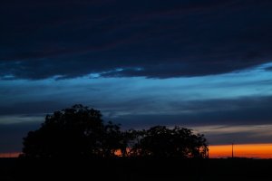 IMG_2357.JPG