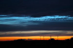 IMG_2358.JPG
