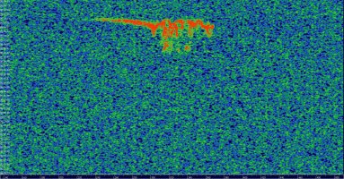 HDSDR_20230715_063728Z_143049kHz_AF.jpg