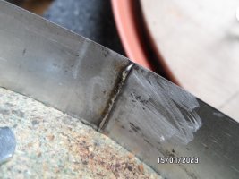 SAM_5772.JPG