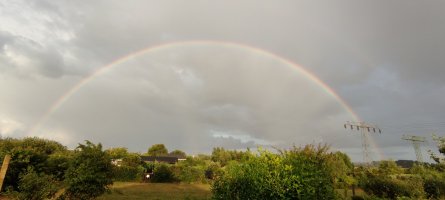 IMG_20230720_201659.jpg