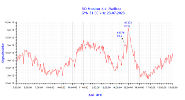 GYN81000-23.07.2023.png