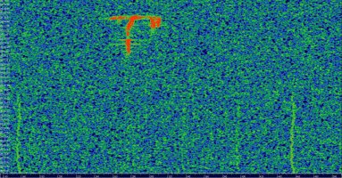 HDSDR_20230726_093156Z_143049kHz_AF.jpg