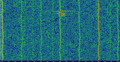 HDSDR_20230729_082554Z_143049kHz_AF.jpg