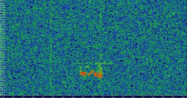 HDSDR_20230730_055552Z_143049kHz_AF.jpg