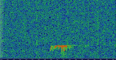 HDSDR_20230803_061649Z_143049kHz_AF.jpg
