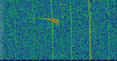 HDSDR_20230804_075038Z_143049kHz_AF.jpg
