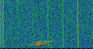 HDSDR_20230804_080238Z_143049kHz_AF.jpg