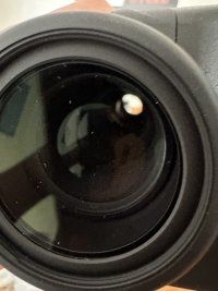 IMG_3958.jpeg
