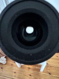 IMG_3959.jpeg
