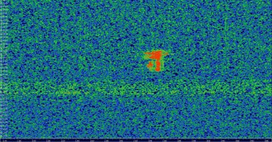 HDSDR_20230813_022140Z_143049kHz_AF.jpg
