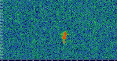 HDSDR_20230813_025240Z_143049kHz_AF.jpg