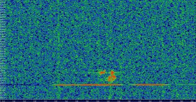 HDSDR_20230813_035740Z_143049kHz_AF.jpg