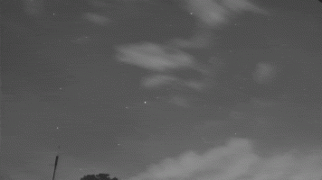 M1-ani-FF_DE000Q_20230813_024924_445_0648192fr_120-180_comp.gif