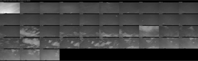 2023-08-13 12_31_14-Window.jpg