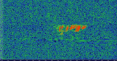 HDSDR_20230814_034541Z_143049kHz_AF.jpg