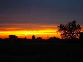 IMG_2464.JPG