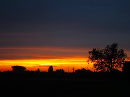 IMG_2465.JPG