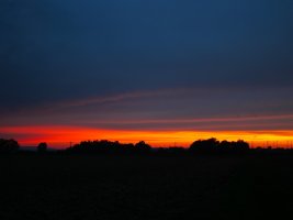 IMG_2466.JPG