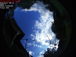IMG_2458.jpeg