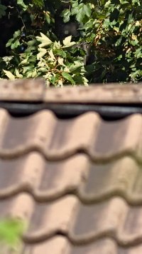 1694080938087.jpg 1694080938087.jpg