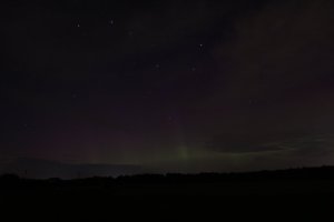 IMG_4577.JPG