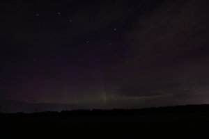 IMG_4578.JPG