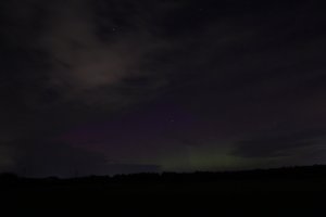IMG_4604.JPG