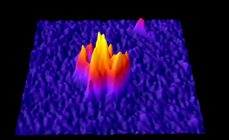 Image-J-GRAVES-XYVv230923033640.png